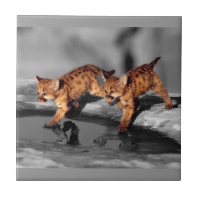 Baby Leopards Tile (Front)