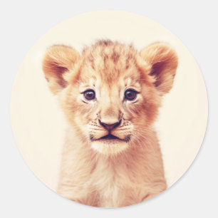 Baby Lion Classic Round Sticker
