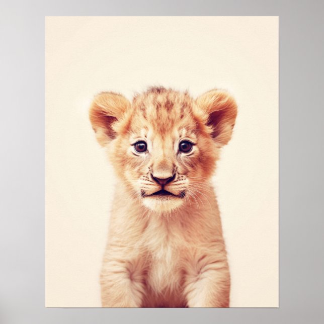 Baby Lion Poster (Front)