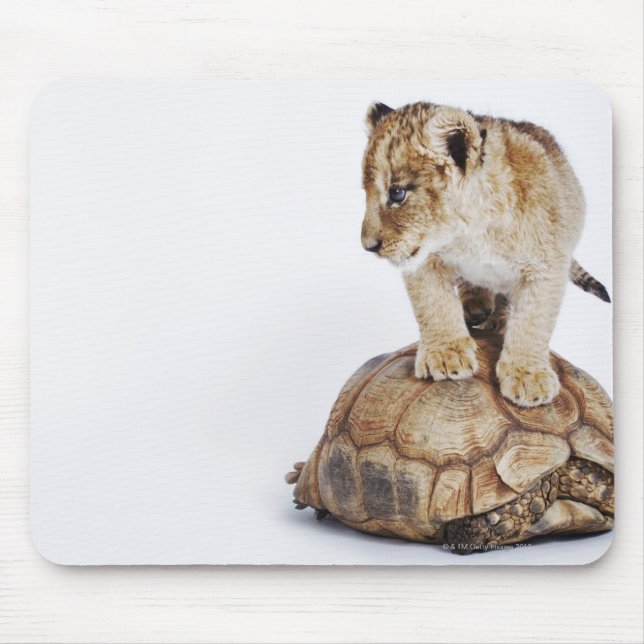 Baby lion standing on tortoise, white background mouse pad (Front)