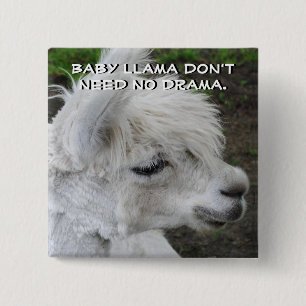 Baby Llama Don't Need No Drama 15 Cm Square Badge