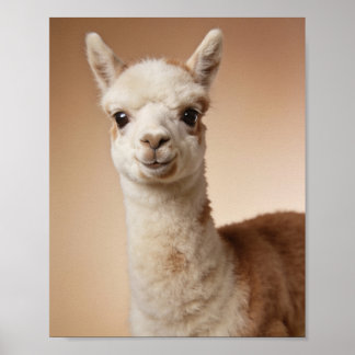 Baby Llama Portrait – Cute Nursery Animal Wall Art
