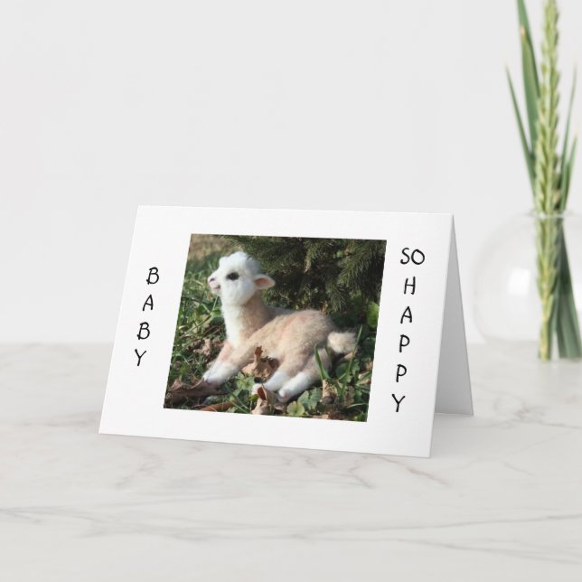 BABY LLAMA SAYS HAPPY FOR YOU AND NEW BABY ANNOUNCEMENT (Front)