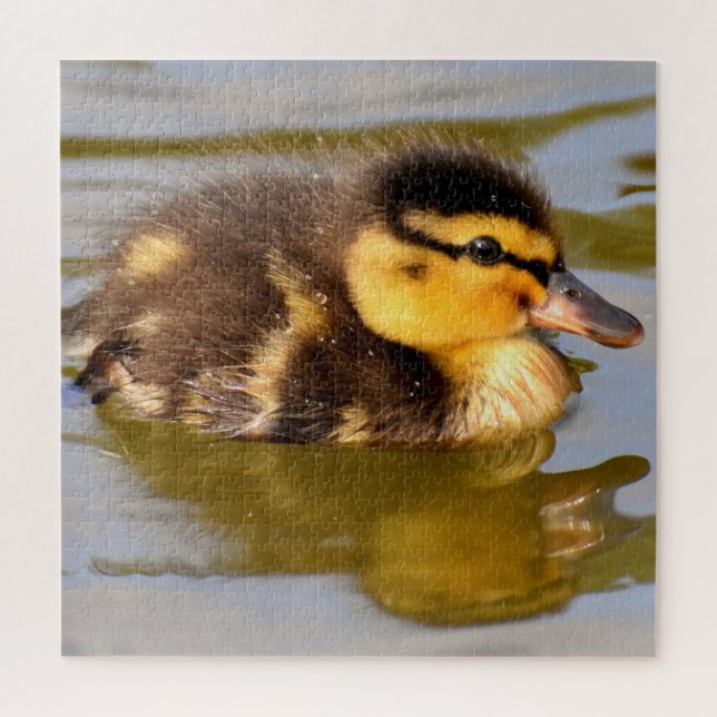Baby Mallard Duck Swimming Jigsaw Puzzle (Vertical)