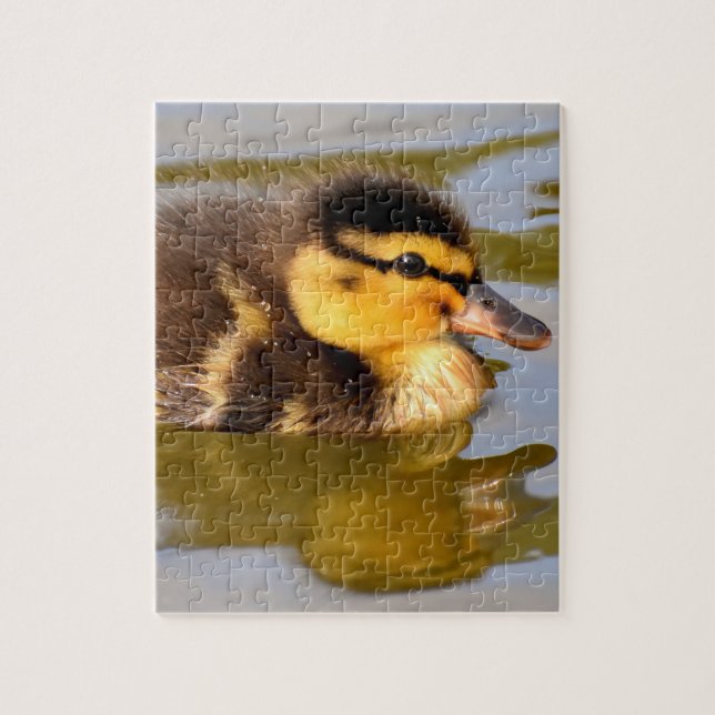 Baby Mallard Duck Swimming Jigsaw Puzzle (Vertical)