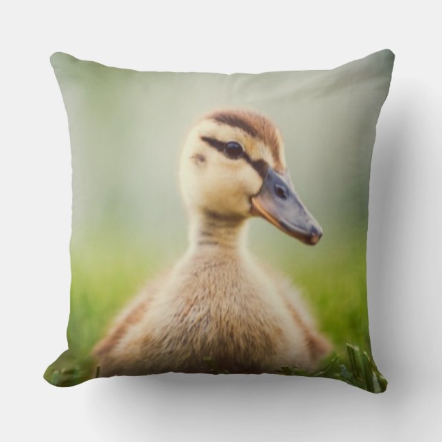 Baby Mallard Ducking Cushion (Front)