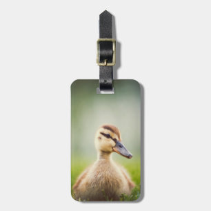 Baby Mallard Ducking Luggage Tag