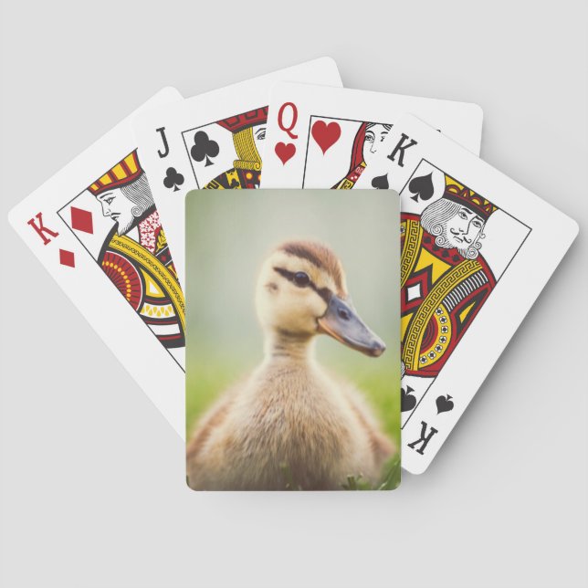 Baby Mallard Ducking Playing Cards (Back)
