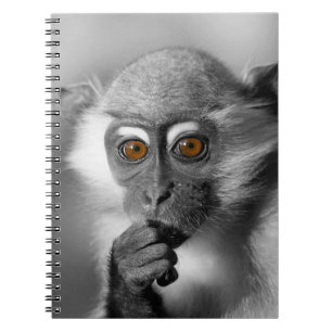 Baby Mangabey Monkey Spiral Notebook