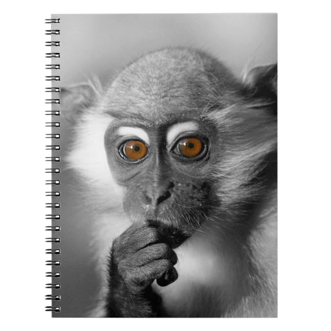 Baby Mangabey Monkey Spiral Notebook (Front)