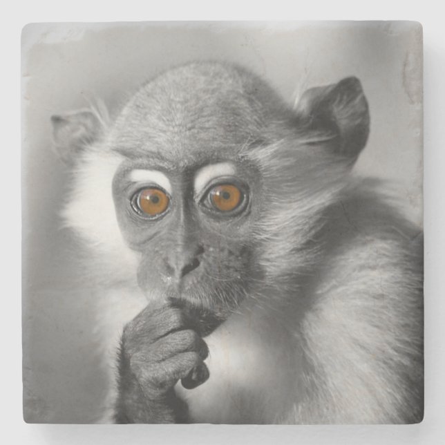 Baby Mangabey Monkey Stone Coaster (Front)