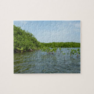 Baby Mangrove Trees in the Caribbean Jigsaw Puzzle
