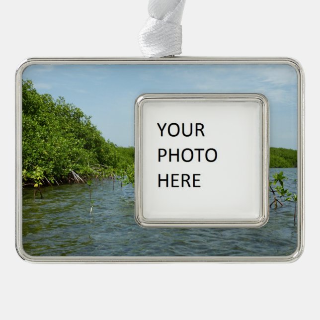 Baby Mangrove Trees in the Caribbean  Silver Plated Framed Ornament (Front)