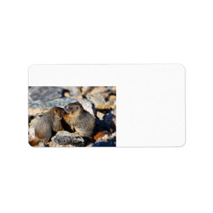 Baby Marmots Label