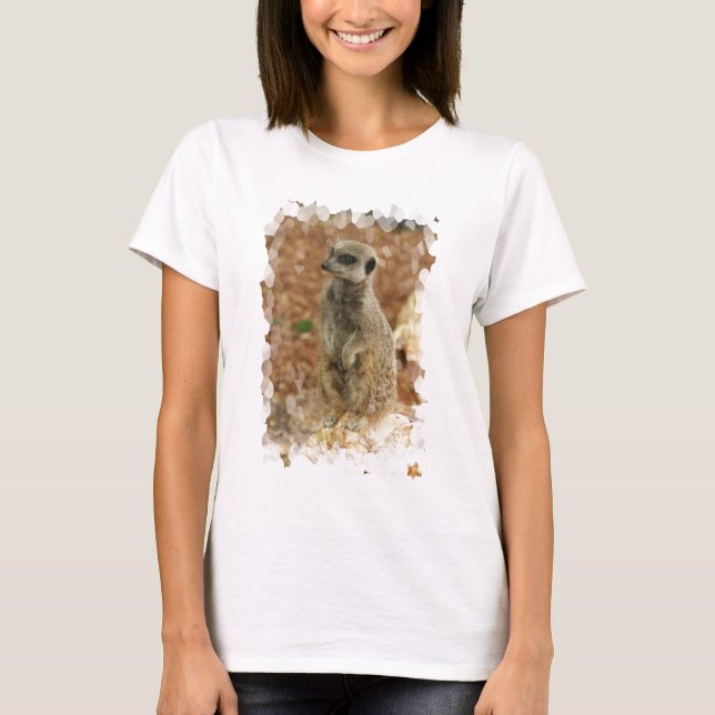 Baby Meerkat Ladies Fitted T-Shirt (Front)