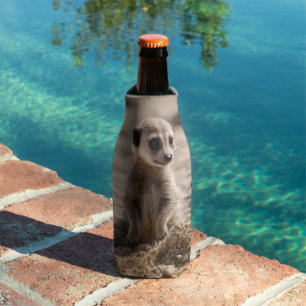 Baby Meerkat Playing In Sand, Bottle Cooler