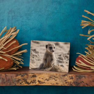 Baby Meerkat Playing In Sand,  Plaque