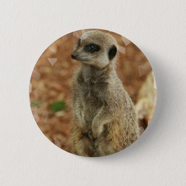 Baby Meerkat Round Button (Front)