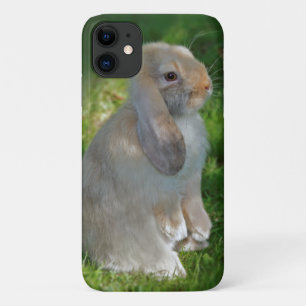 Baby Minilop Rabbit iPhone 11 Case