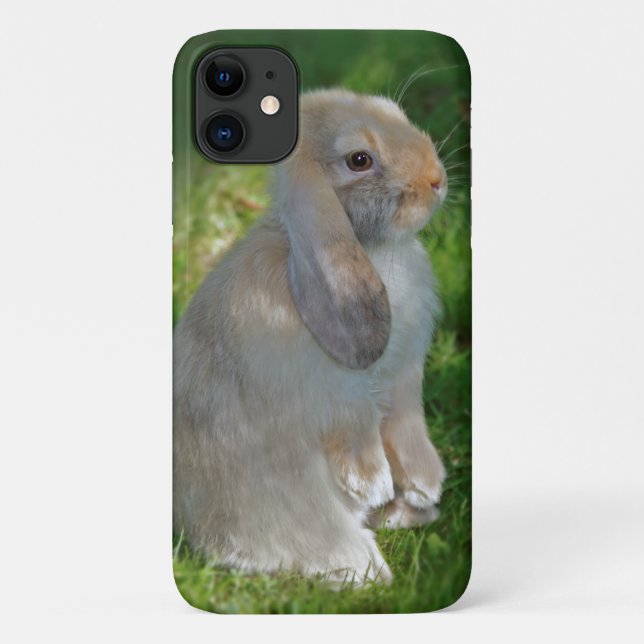 Baby Minilop Rabbit iPhone 11 Case (Back)