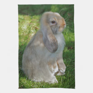 Baby Minilop Rabbit Kitchen Towel