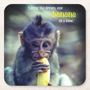 Baby Monkey Eating Banana Square Paper Coaster