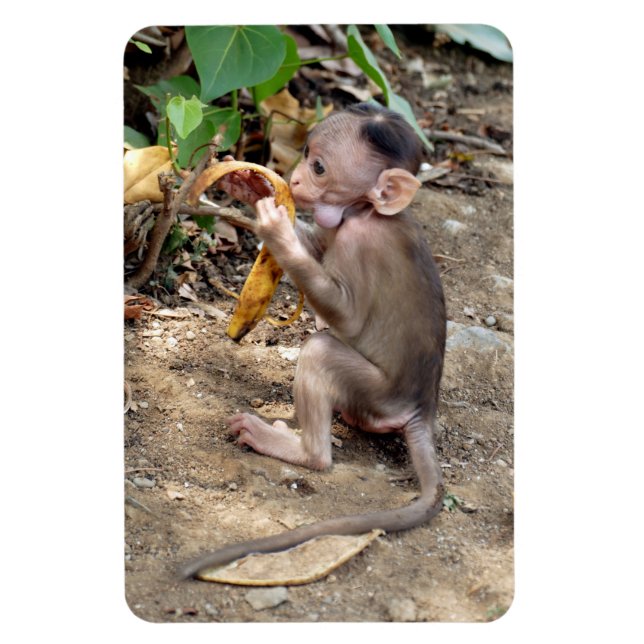 Baby Monkey Magnet (Vertical)