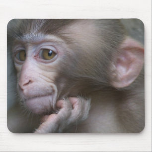 Baby Monkey Mouse Pad