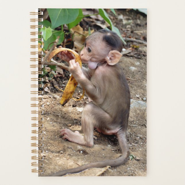 Baby Monkey Planner (Front)