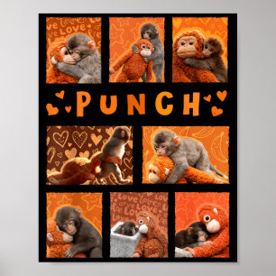 Baby Monkey Punch Mama Monkey Stuff Hugs Kids Men Poster