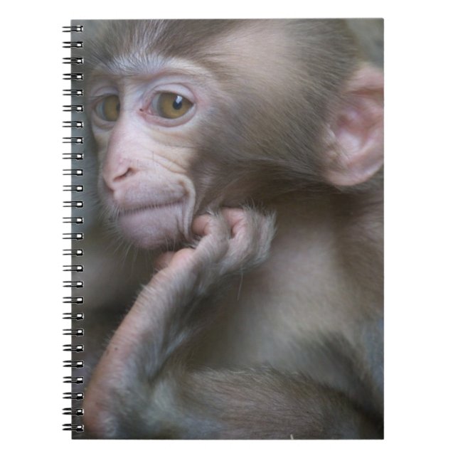 Baby Monkey Spiral Notebook (Front)