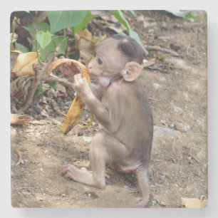 Baby Monkey Stone Coaster