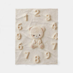 Baby Monthly Milestone Blanket