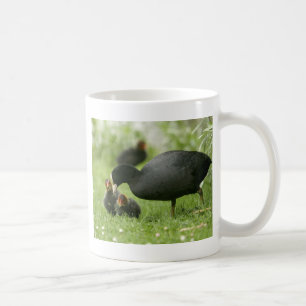 Baby Moorhens Coffee Mug