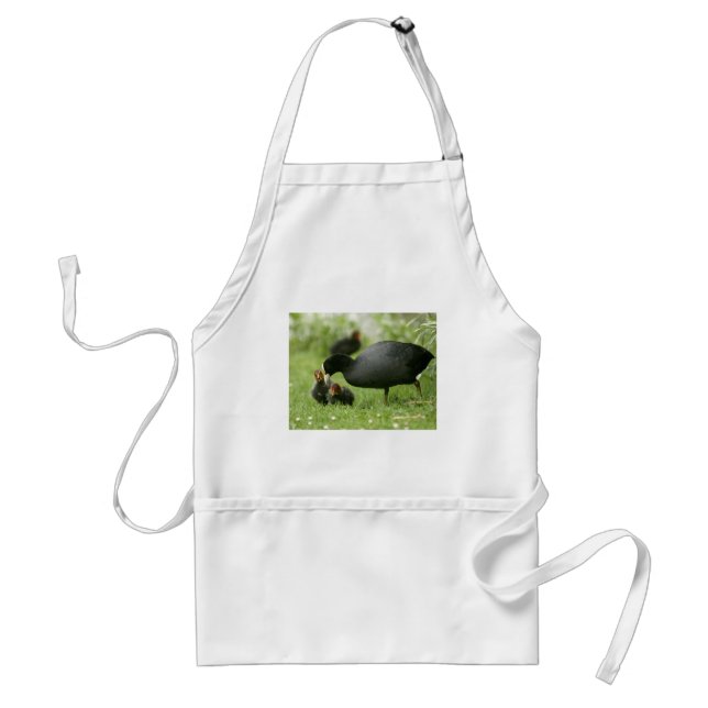 Baby Moorhens Standard Apron (Front)