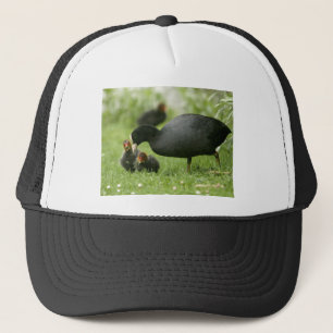 Baby Moorhens Trucker Hat