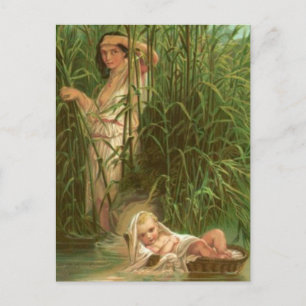 Baby Moses And The River Nile Postcard