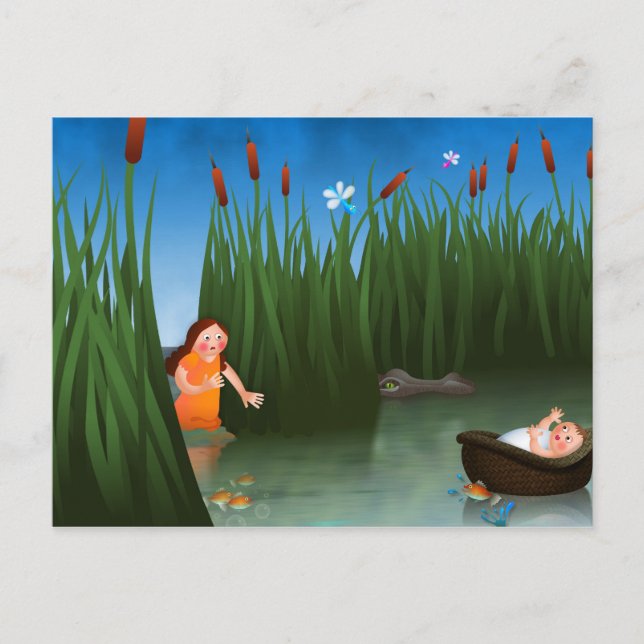 Baby Moses Passover Cartoon Postcard (Front)