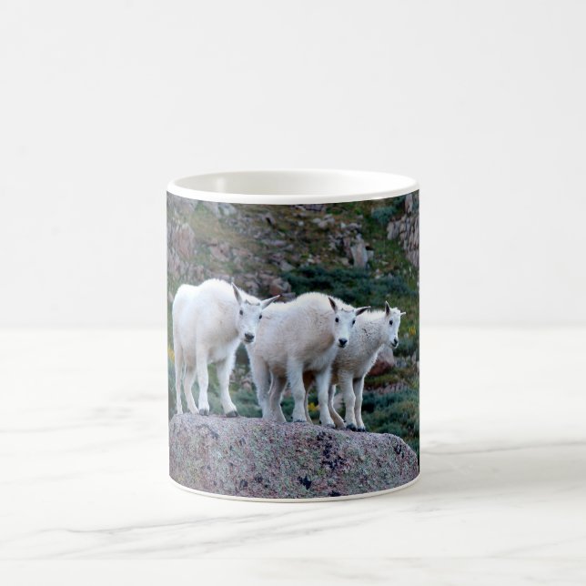 Baby Mountain Goat Mug (Center)