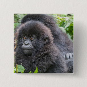 Baby Mountain Gorilla 15 Cm Square Badge