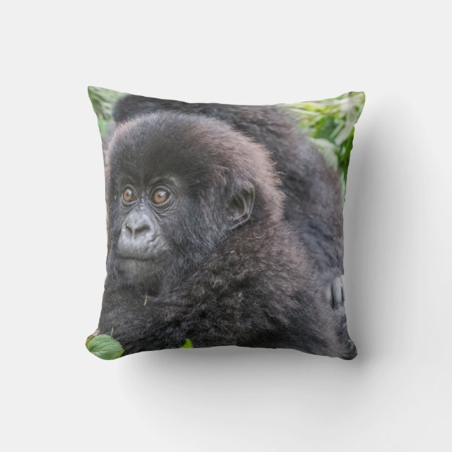 Baby Mountain Gorilla Cushion (Front)