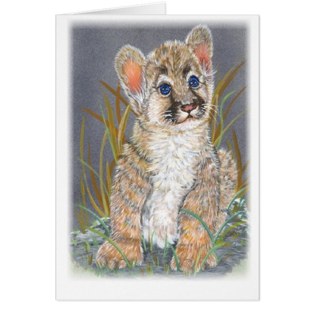 Baby mountain lion (Front)