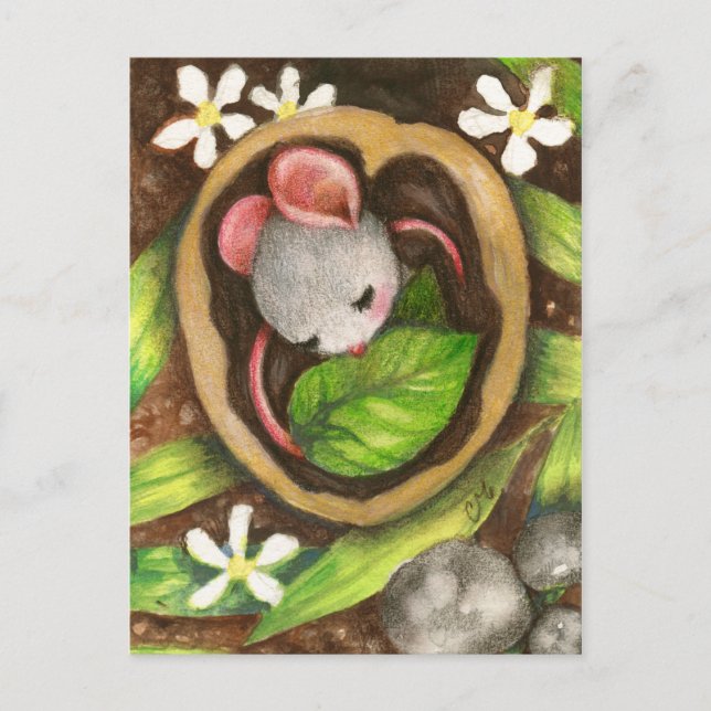 Baby Mouse Cute Animal Illustration Postcard (Front)