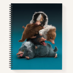 Baby NIFFLER™ Pile Notebook