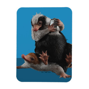 Baby Nifflers Find A Prize Magnet