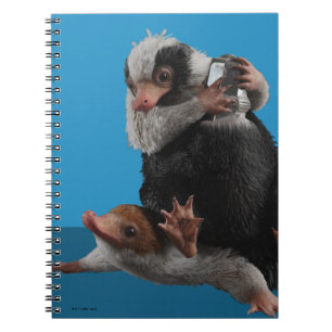 Baby Nifflers Find A Prize Notebook