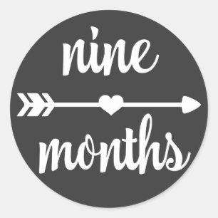 Baby Nine Months Milestone Stickers