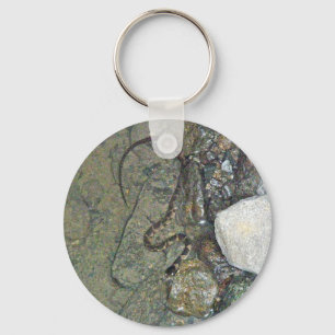 Baby Northern Water Snake (Nerodia sipedon) Items Key Ring