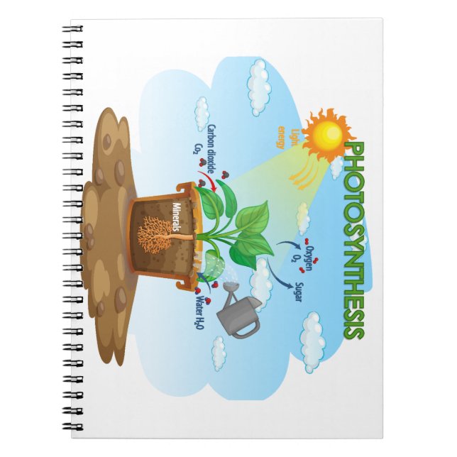 Baby notebook  (Front)