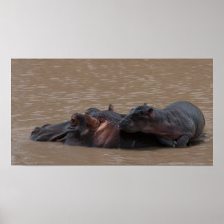 Baby on Board Poster